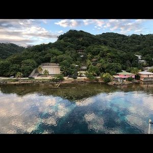 Meet your Posher, Audrey